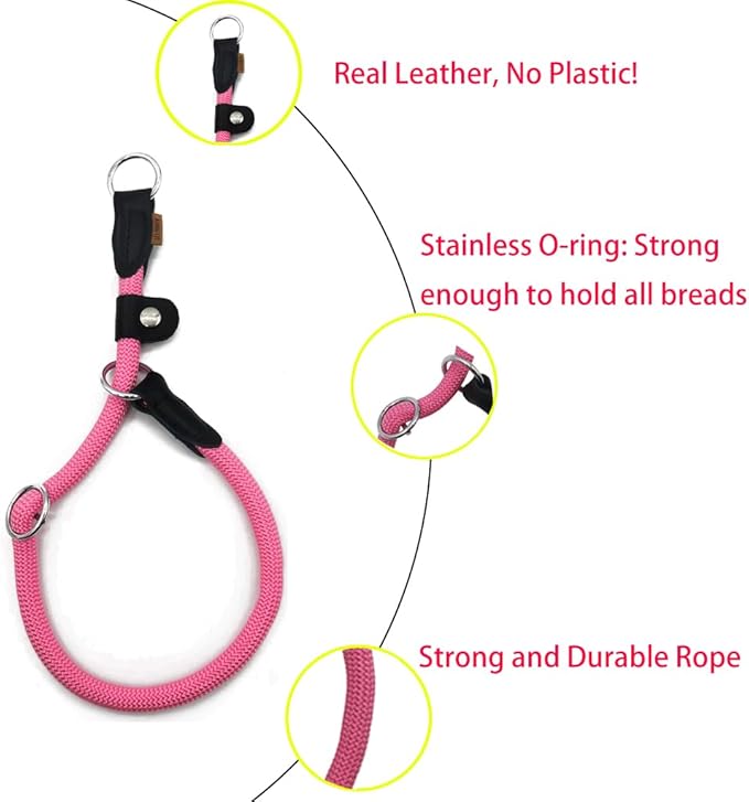 Braided Rope Collar, Training Dog Collar, Round Martingale Collar, Slip Collar with Adjustable Stopper and Slidable Stop Ring - Ideal for Small Dogs (S(1/4") - 14" Long, Pink)