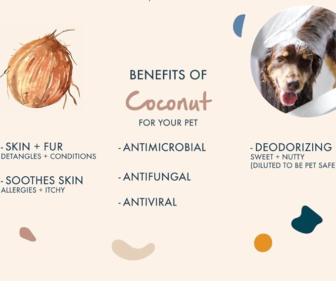 Sandalwood + Coconut Shampoo and Conditioner Set, Warm and Mellow Sandalwood with Coastal Coconuts, Formulated for All Pets, Gentle and Cleansing, Made in The USA, Cruelty Free, 16 fl oz