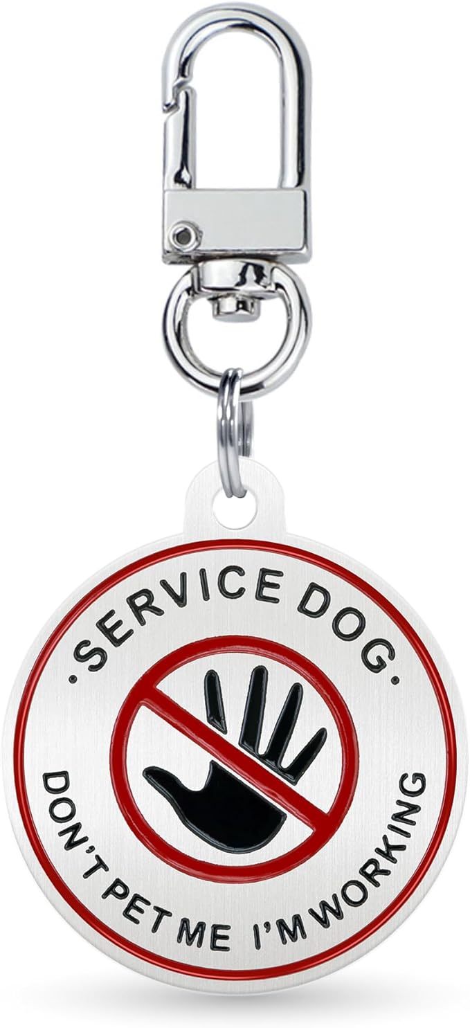 Service Dog ID Tag for Small & Large Dogs - Emotional Support ESA Medical Alert Collar Accessory - Durable Stainless Steel Service Animal Tag - Don't Pet Me Service Tag in Silver Large