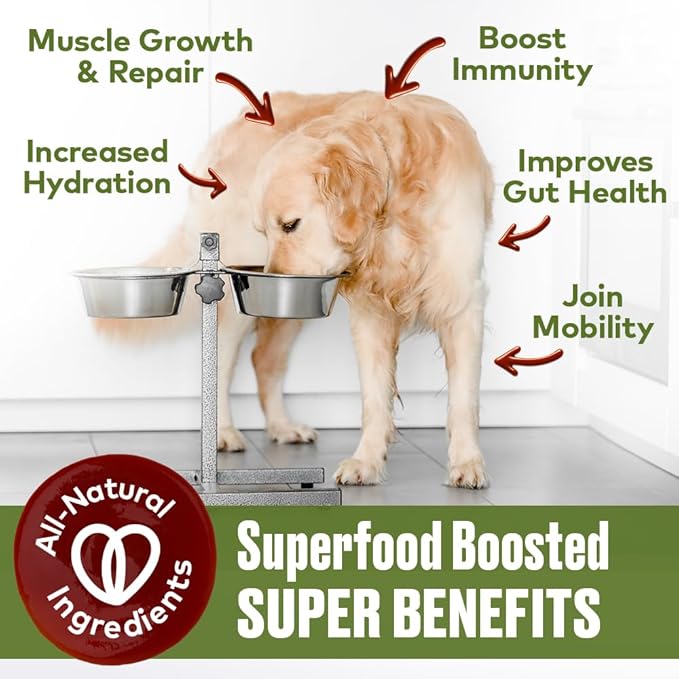 Mobility Support Beef Bone Broth for Dogs | Hip & Joint Support for Dogs | Glucosamine & Amino Acid Boosted | Human Grade Ingredients | Just add Water | Made in USA, 12 oz, 2 Pack