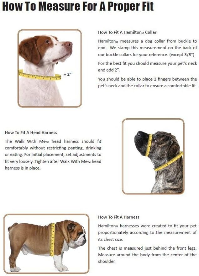 Hamilton Double Thick Nylon Deluxe Dog Collar with Brushed Hardware Finish, 1-Inch by 20-Inch, Red Brick