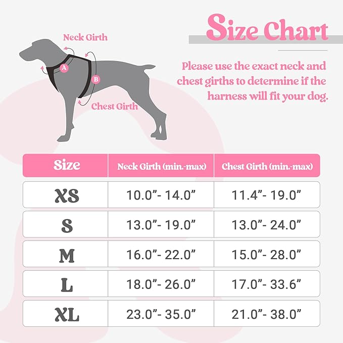 rabbitgoo Dog Harness, No-Pull Pet Harness with 2 Leash Clips, Adjustable Soft Padded Dog Vest, Reflective No-Choke Pet Oxford Vest with Easy Control Handle for Small Dogs, Pink, S