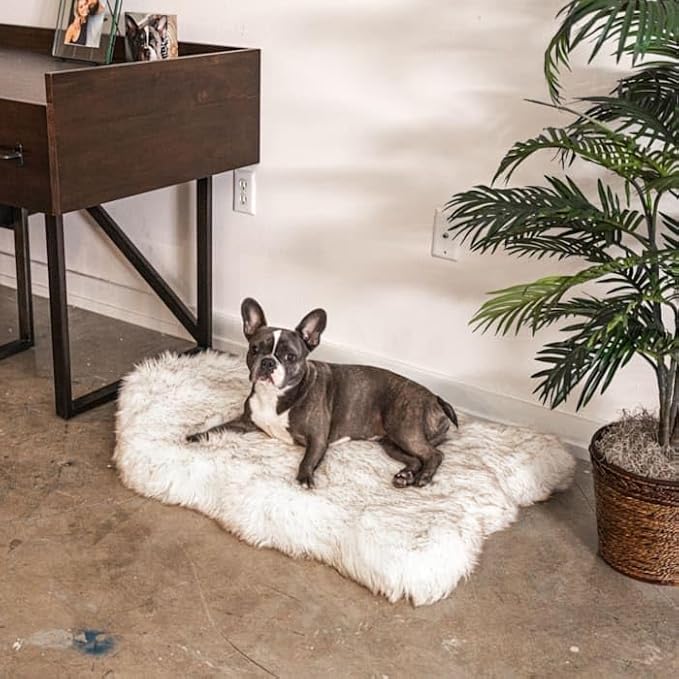 PupRug Orthopedic Dog Bed for Dogs with Soft Faux Fur and Memory Foam for Joint Pain Relief, Machine Washable Waterproof Couch Bed, White, Medium