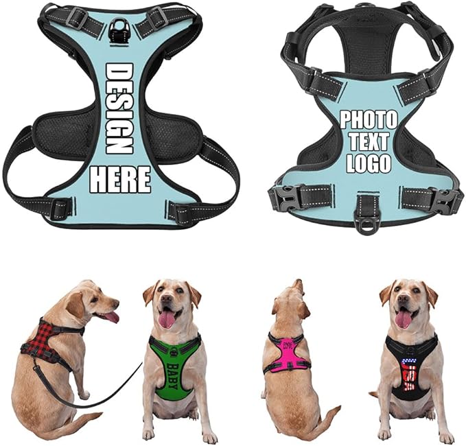 Custom Dog Harness with Name Phone No., Customized No Pull Pet Vest for Small Medium Large Dog, Personalized Heavy Duty Dog Vest, Adjustable Reflective Pet Harness Custom, PowderBlue, S