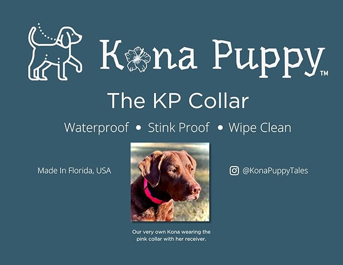 Waterproof E-collar Replacement Strap Dog Collar for Invisible Fence/ecollar - Easy On Bungee (1" Wide, Light Purple)