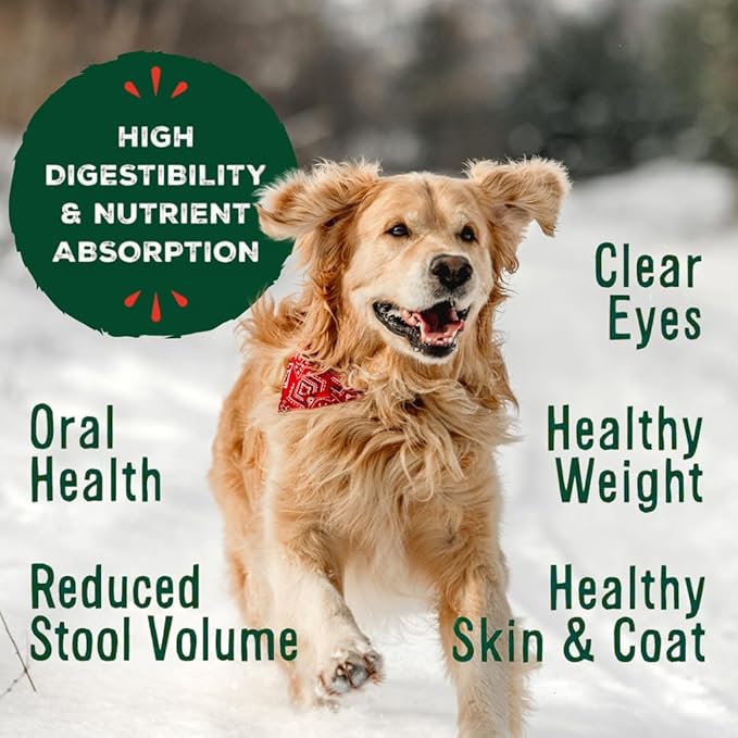 Primal Freeze Dried Raw Dog Food Nuggets, Lamb, Complete & Balanced Meal, Also Use as Topper or Treat, Premium, Healthy, Grain Free, High Protein Raw Dog Food, 14 oz (Pack of 4)