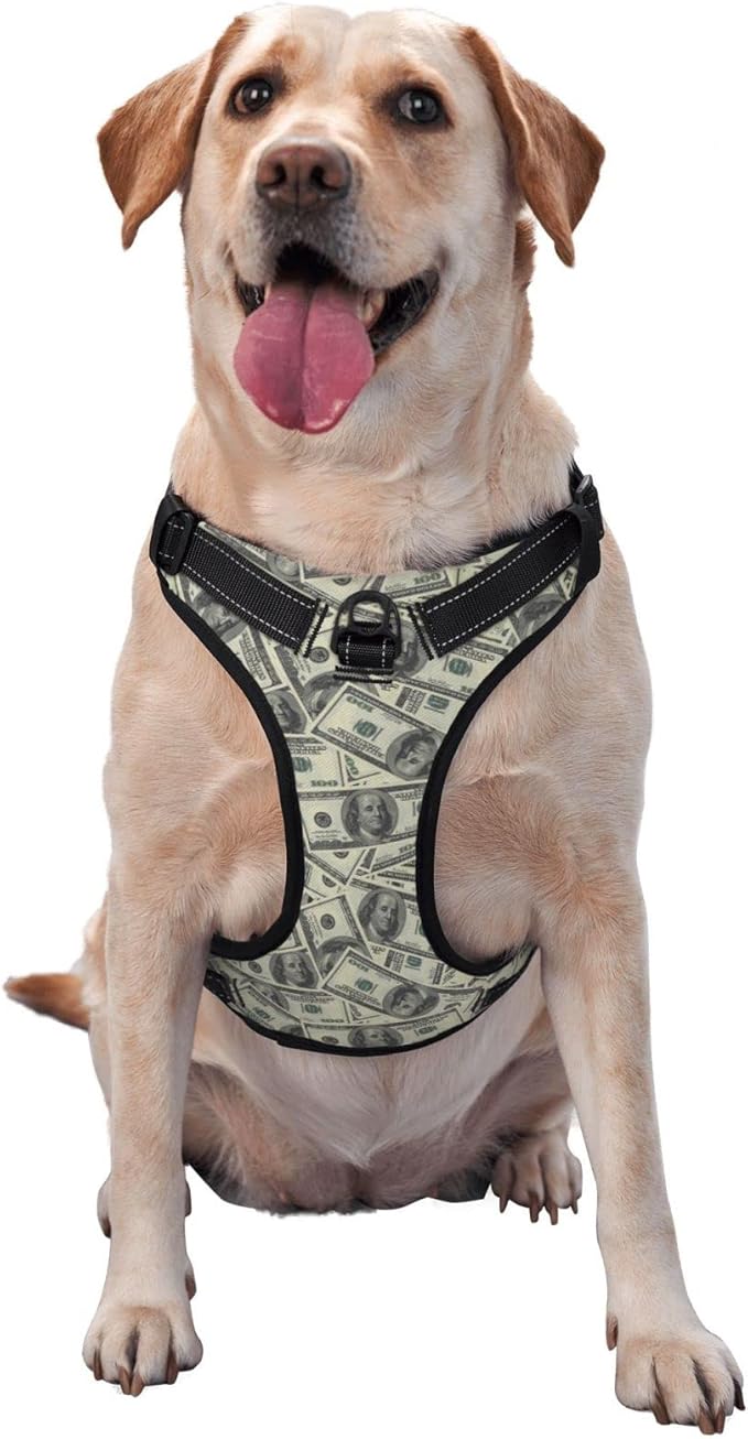 No Pull Dog Harness for Medium Dogs Easy Walk Dog Vest Adjustable Collars Harnesses & Leashes Set Breathable Oxford Outdoor Walking Safety Reflective Strip Dollar Cash Prints