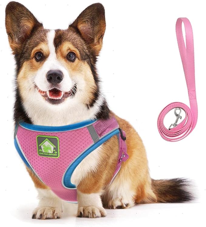 FEimaX Dog Harness and Leash Set, No Pull Soft Mesh Reflective Escape Proof Small Dog Cat Vest Adjustable Pet Outdoor Harnesses for Puppy Kitten Rabbit