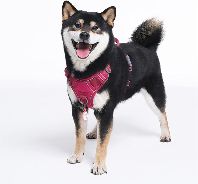 Pawaii Dog Harness for Small Dogs, Dog Harness with Pet ID Tag, No Choke Dog Harness, Adjustable Soft Padded Pet Vest with Easy Control Handle