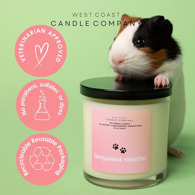 Pet Friendly Wax Melts | Pet Safe Wax Melts | All Natural Dog Safe Wax Melts | Non-Toxic Wax Melts | Pet Odor Eliminator | Pure Soy Wax Melts | Veterinarian Approved (Cotton Candy)