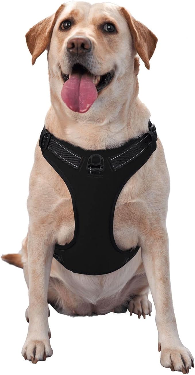 Custom Name Harness for Dog, Customized Pet Harnesses for Large Dogs, Personalized Dog Harness for Small Dog, Custom Pet Vest for Puppy, No Pull Dog Vests Personalization, BlankBlack, L