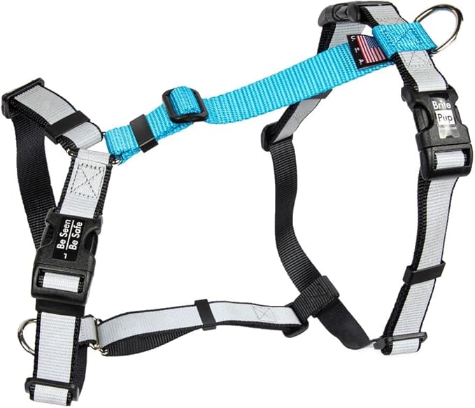 No Pull Harness with Fully Customizable Fitment for Large Dogs - 3M Reflective Heavy Duty Harness for Walking & Training - No Choke Comfortable Collar Design, Made in USA L-Sky Blue
