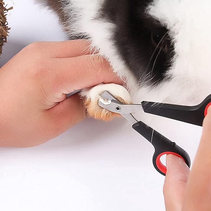 HAICHEN TEC Rabbit Nail Clippers and Trimmers Stainless Steel Pet Claw Grinding Scissors for Small Breeds Cats Guinea Pig Puppy Ferret Hamsters Chinchilla Sugar Glider Grooming Tool Set (Black)