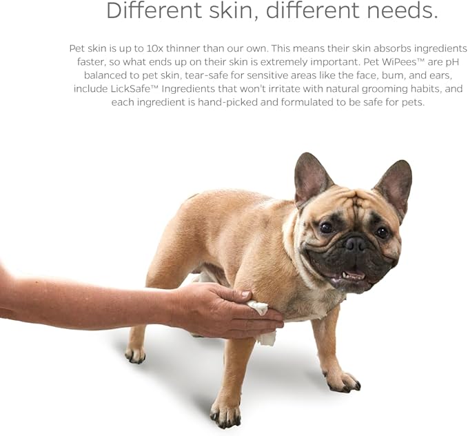 Pet Parents® Pet WiPees™ Dog All Purpose + Allergy Dog Wipes, Pet Wipes for Dogs, Puppy Wipes & Paw Wipes, Large Dog Wipes (100 Count (Pack of 1), Calming)