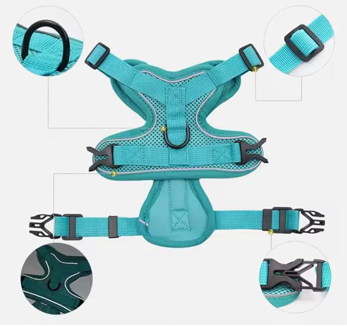 Harness for Dogs & Cats - S. M. L. XL, Nylon, Adjustable Buckle Pet Vest with Matching Leash (Blue, Medium)