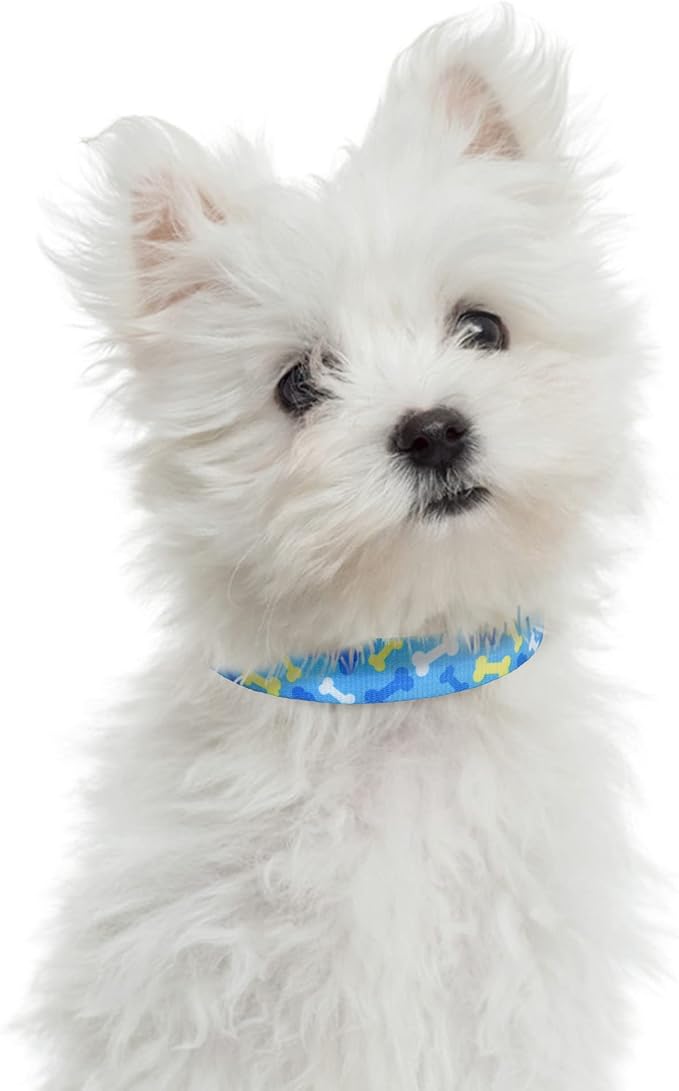 Mile High Life Dog Collar | Nylon Puppy Collars w Cute Patterns | Lightweight Girl Dog Collar | Boy Dog Collar for Small/Medium/Large Dogs (Sky Blue Bone, Large)