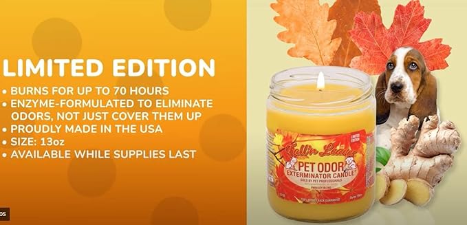 Pet Odor Exterminator Candle, Fall 'N Leaves - Pack of 2