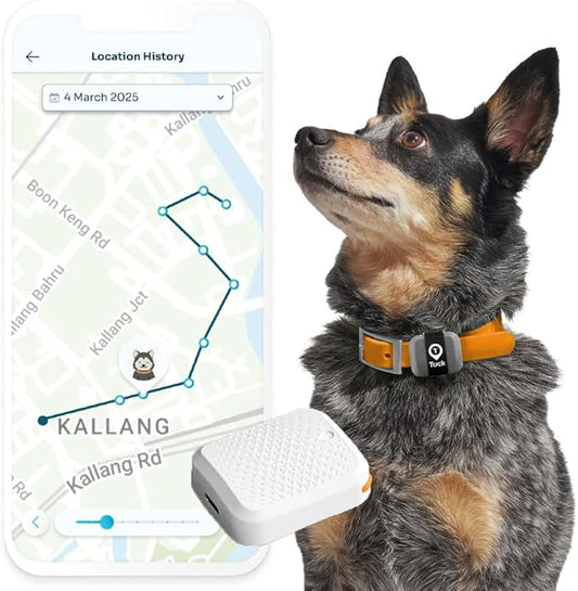 Tack GPS Pet Safety Bundle, with Lowest Monthly fee and 30 Days Battery Life - Comes with Fabric Sleeve to Attach Tracker onto pet's Collar Directly