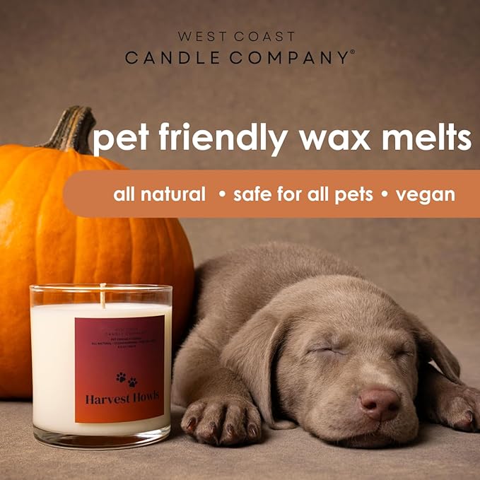 Pet Friendly Wax Melts | All Natural Dog Safe | Non-Toxic | Pet Odor Eliminator | Pure Soy | Veterinarian Approved (Pumpkin Cream Chai)