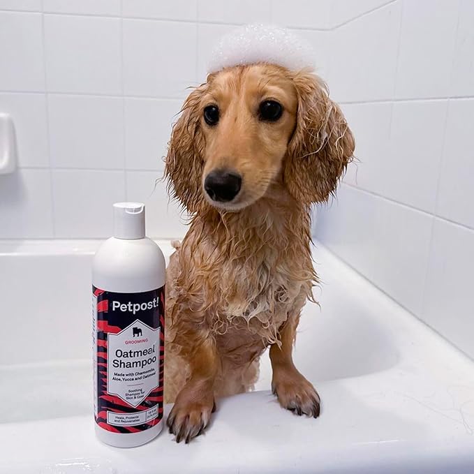 Petpost | Oatmeal & Chamomile Shampoo for Dogs with Dry Skin - Naturally Heals, Protects, Rejuvenates Dog Skin & Coat - Oatmeal, Chamomile, Aloe & Yucca Formula 16 oz.