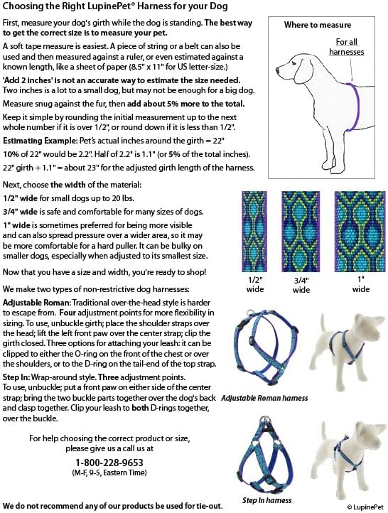 LupinePet Originals 3/4" Dapper Dog 20-32" Adjustable Roman Dog Harness for Medium Dogs