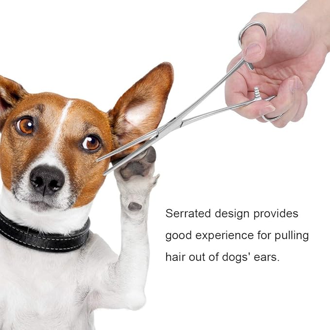 Forceps, Stainless Steel Dog Cat Pet Scissors Ear Hair Clamp Fishing Scissors Tools (12.5CM straight)