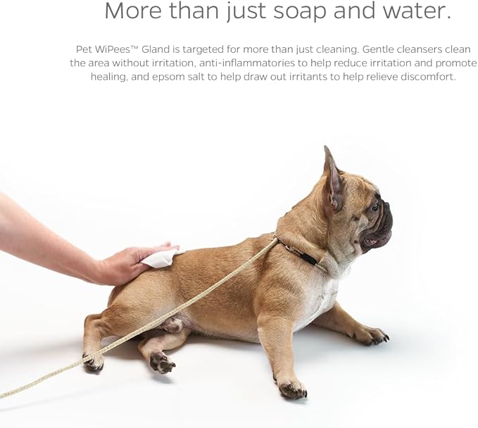 Pet Parents® Pet WiPees™ Gland, Dog Wipes for Paws & Butt, Cat & Dog Butt Wipes, Dog & Cat Gland Cleaning Wipes, 200ct (100 Count (Pack of 2), Natural)