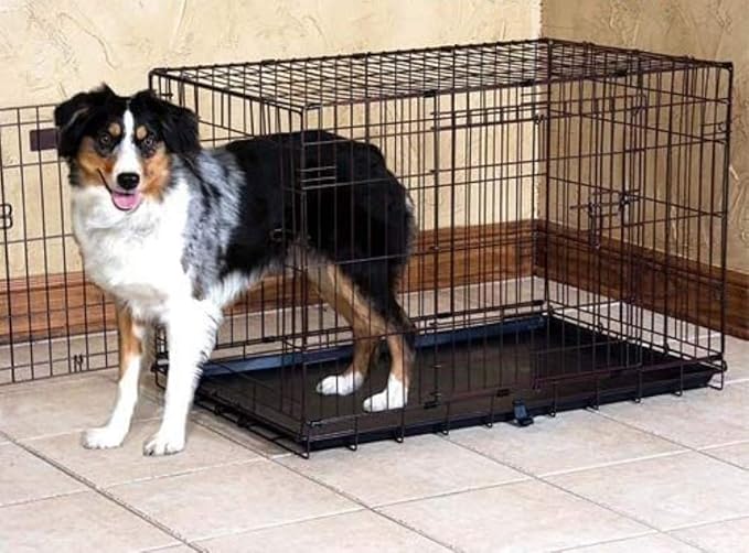 Precision Pet Products Two Door Great Crate Wire Dog Crate, 36 Inch, For Pets 50-70 lbs, With 5-Point Locking System