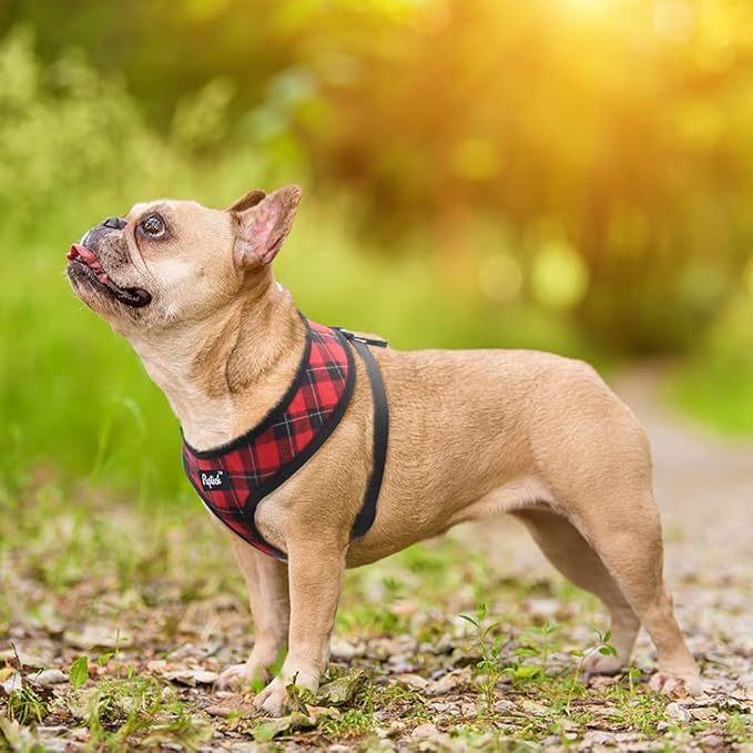 PUPTECK Soft Mesh Dog Harness and Leash Set Pet Puppy Cat Comfort Padded Vest No Pull Harnesses, Red&Black, M
