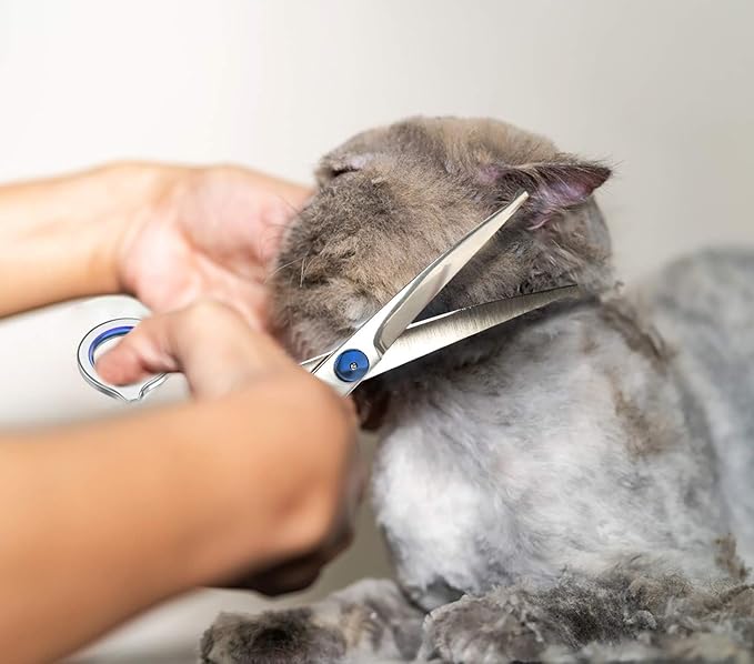 7.5" Curved Dog Grooming Scissors with Safety Round Tips, Light Weight Professional Pet Grooming Shears Stainless Steel for Dogs Cats Pets