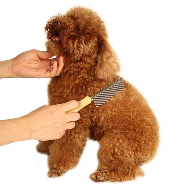 Silver Dog and Cat Combs For Grooming Long Haired Cats and Dogs - Pet Dog Cat Comb Stainless Steel Pin Teeth Wooden Handle Grooming Fur Hair Brush - Comb Removes and Prevents Matted Fur,Grooming