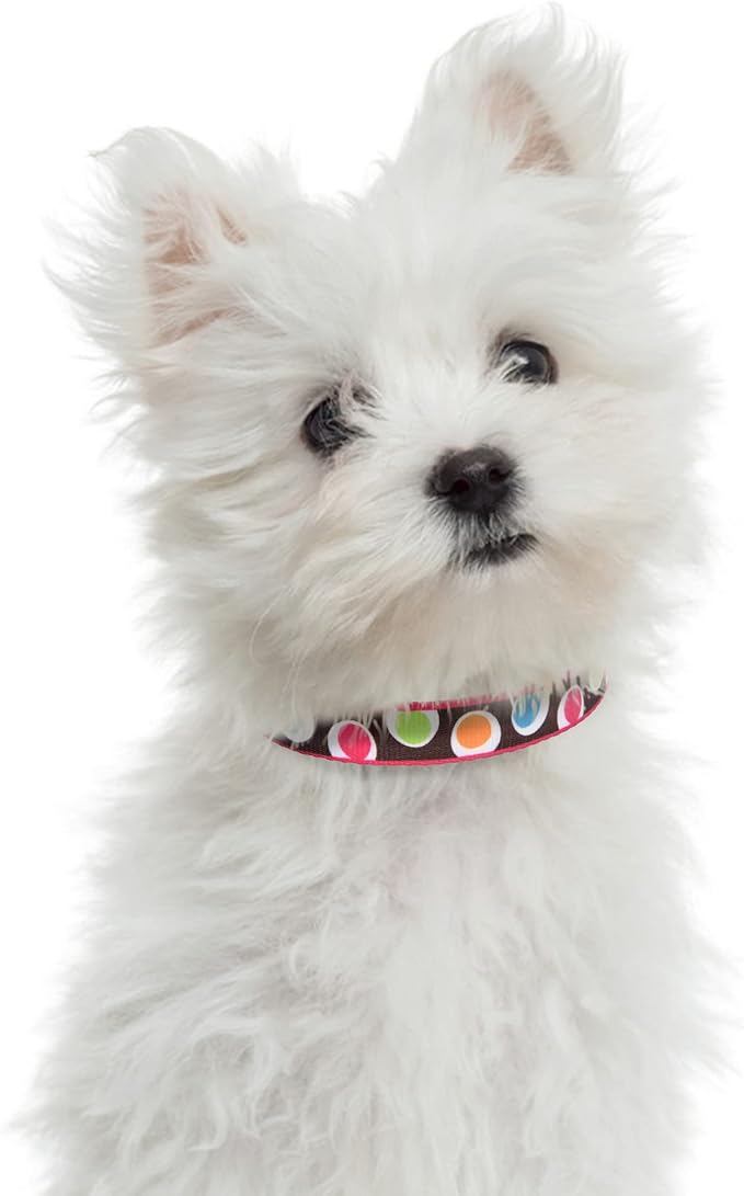 Mile High Life Dog Collar | Nylon Puppy Collars w Cute Patterns | Lightweight Girl Dog Collar | Boy Dog Collar for Small/Medium/Large Dogs (Brown Dot, Large)