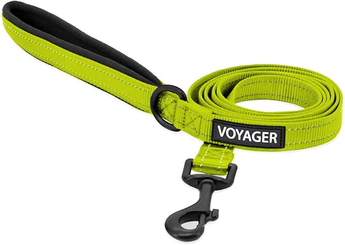 Voyager Reflective Dog Leash with Neoprene Handle, 6ft Long, Supports Small, Medium, and Large Breed Puppies, Cute and Heavy Duty for Walking, Running, and Training - Lime, L