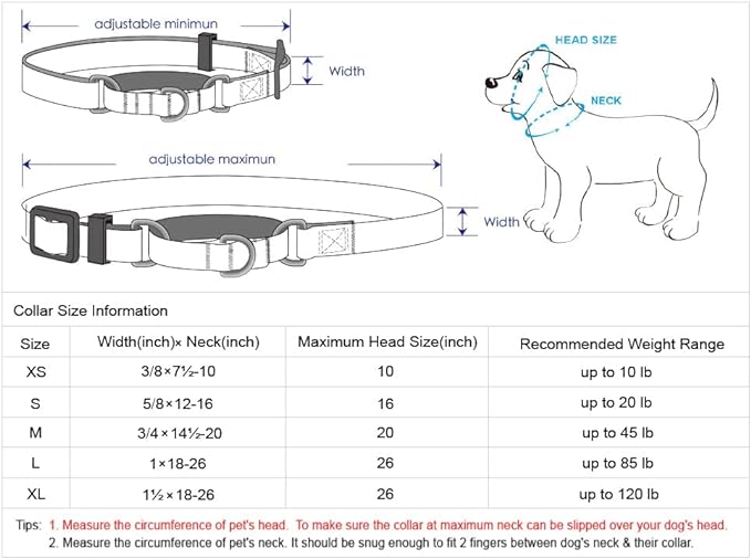 Blueberry Pet Essentials Personalized Martingale Safety Training Dog Collar, Turquoise, Large, Adjustable Customized ID Collars for Dogs Embroidered with Pet Name & Phone Number