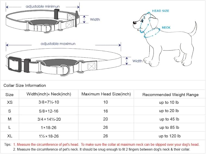 Blueberry Pet Essentials Martingale Safety Training Dog Collar, Royal Blue, X-Large, Heavy Duty Nylon Adjustable Collars for Dogs