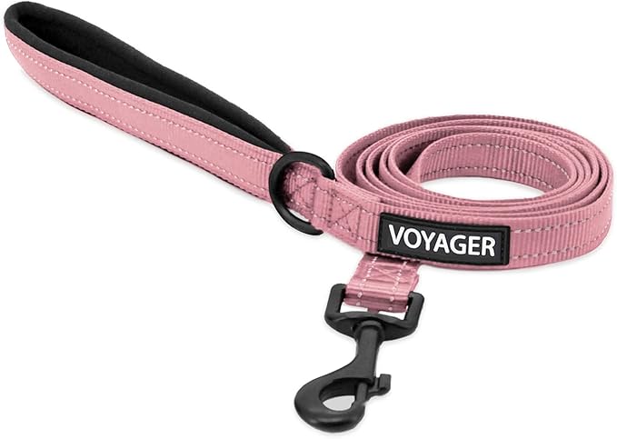 Voyager Reflective Dog Leash with Neoprene Handle, 5ft Long, Supports Small, Medium, and Large Breed Puppies, Cute and Heavy Duty for Walking, Running, and Training - Pink (Leash), S