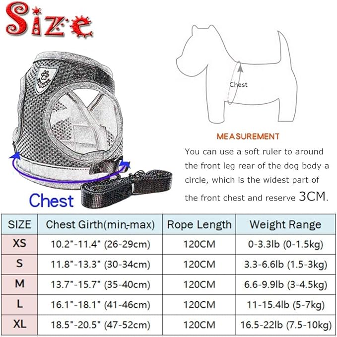 FEimaX Dog Harness and Leash Set for Walking, Soft Mesh Adjustable Easy Control Lightweight Cat Vest Harnesses with Reflective Strips, Escape Proof Small Dogs Cats Vests (Azure, Medium)