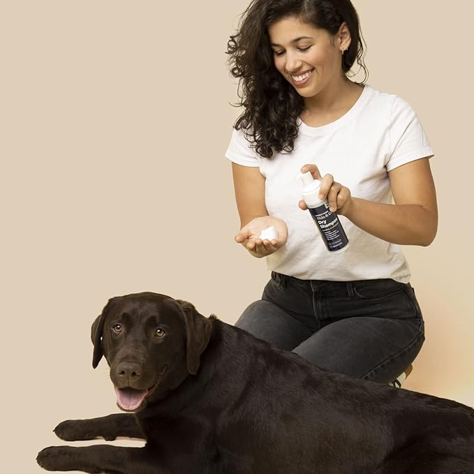 Honest Paws Dog Dry Shampoo - Waterless No Rinse Foaming Formula Reducing Itch Cleanse Hydrate Nourish Dry Skin and Smelly Coat Help Decrease Odor Shedding and Allergies - Oatmeal & Lavender - 6.3 oz