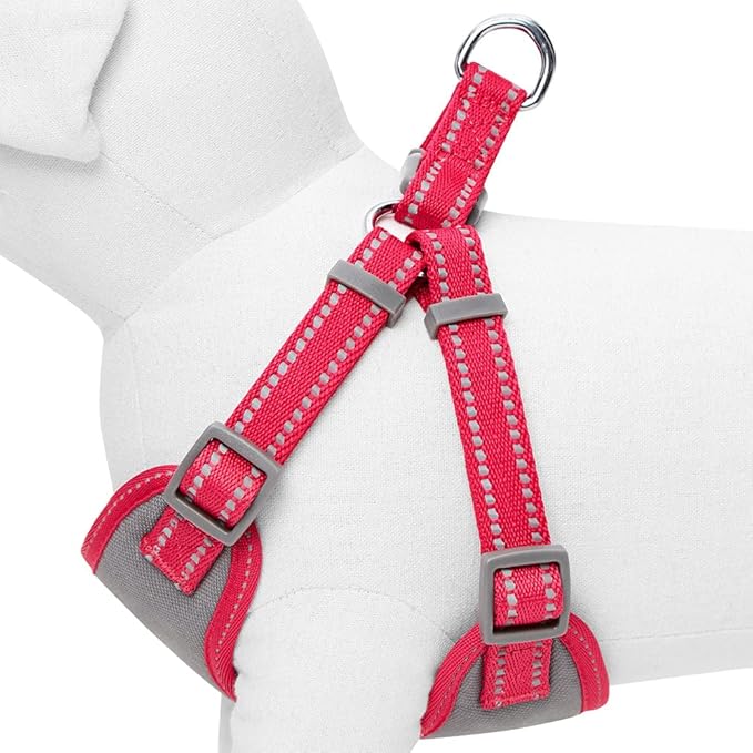 Blueberry Pet Essentials Pastel Color Reflective Dog Harness Vest, Chest Girth 29" - 38.5", Very Berry, Large, Adjustable Harnesses for Dogs