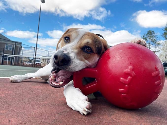Jolly Pets Tug-n-Toss Heavy Duty Dog Toy Ball with Handle, 8 Inches/Large, Red (408 RD)