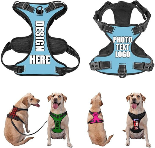 Custom Dog Harness with Name Phone No., Customized No Pull Pet Vest for Small Medium Large Dog, Personalized Heavy Duty Dog Vest, Adjustable Reflective Pet Harness Custom, SkyBlue, S