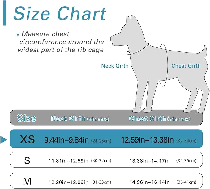 Dog Harness (XS, Blue) for Small Dogs, Lightweight Harness & Leash Set, Adjustable, Reflective, Breathable, 360°Visibility, Playful Style