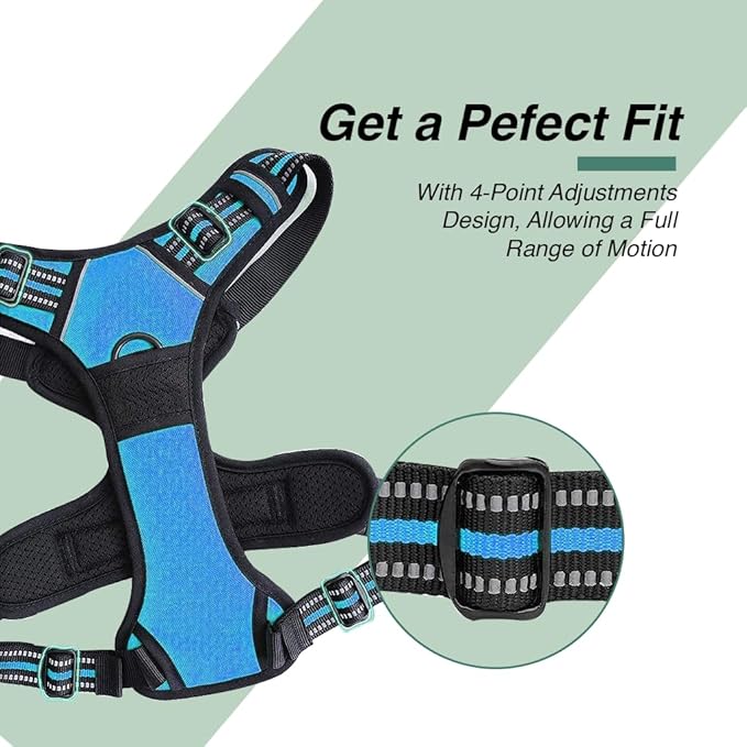 Dog Harness and Leash Duo, No Pull Vest Harness with 5 Ft Leash, Soft padded Vest, No-Choke Oxford Pet Harness, Easy Control Handle and Adjustable Pet Harness (Blue, Medium)