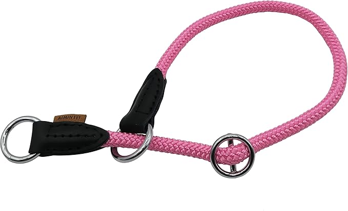 Braided Rope Collar, Pro Training Dog Collar, No Pull Round Martingale Collar, Slip Collar with Slidable Stop Ring - Ideal for Small Dogs (S(1/3") - 16" Long, Pink)