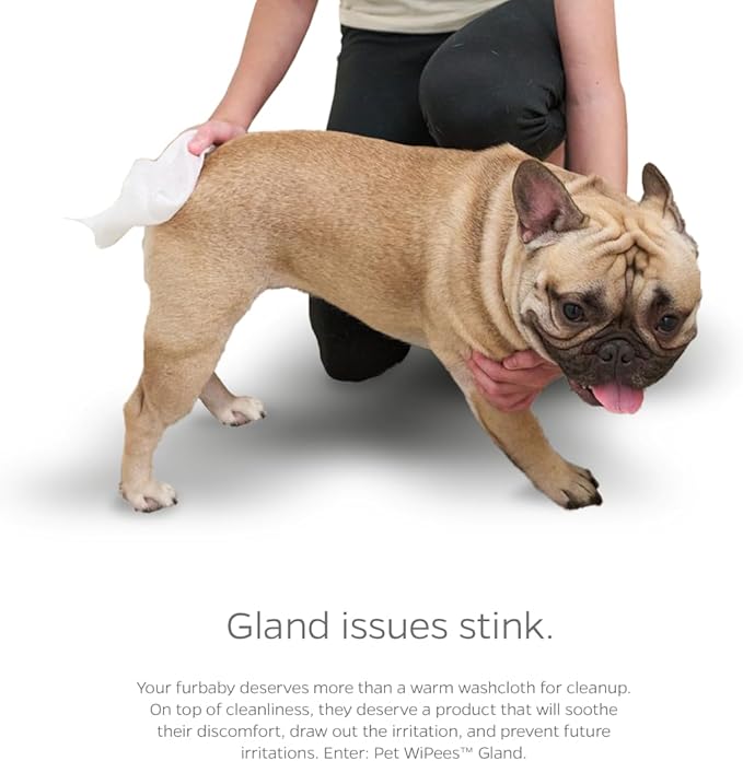 Pet Parents® Pet WiPees™ Gland, Dog Wipes for Paws & Butt, Cat & Dog Butt Wipes, Dog & Cat Gland Cleaning Wipes, 200ct (100 Count (Pack of 2), Natural)