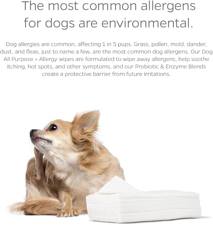 Pet Parents® Pet WiPees™ Dog All Purpose + Allergy Dog Wipes, Pet Wipes for Dogs, Puppy Wipes & Paw Wipes, Large Dog Wipes (100 Count (Pack of 1), Natural)