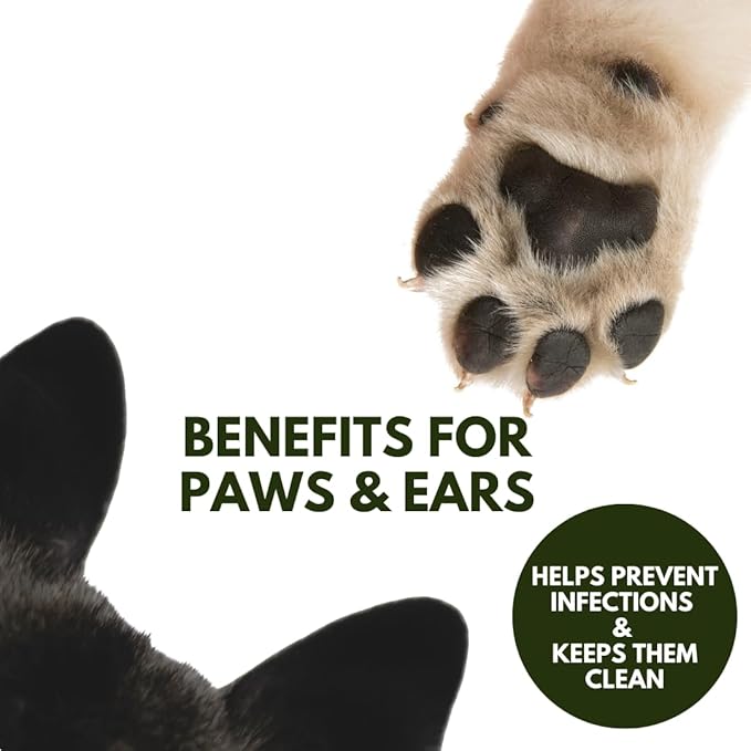 Talc-Free Dog Anti Itch Dry Shampoo Powder for Smelly Dogs, Pet Deodorizer for Skin, Ear & Paw - White Clay & Aloe Vera - 3.5 Oz