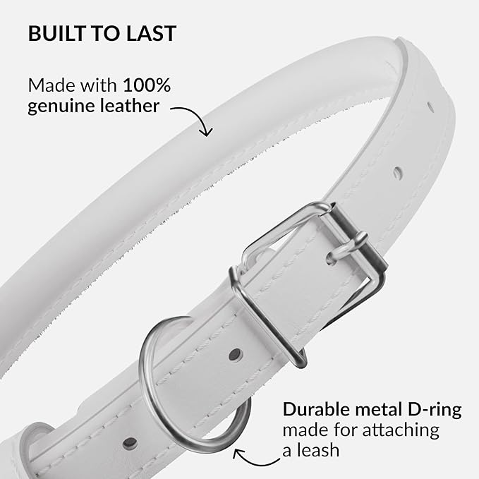 CollarDirect Rolled Leather Dog Collar, Soft Padded Round Puppy Collar, Handmade Genuine Leather Collar Dog Small Large Cat Collars 13 Colors (6-7 Inch, White Smooth)