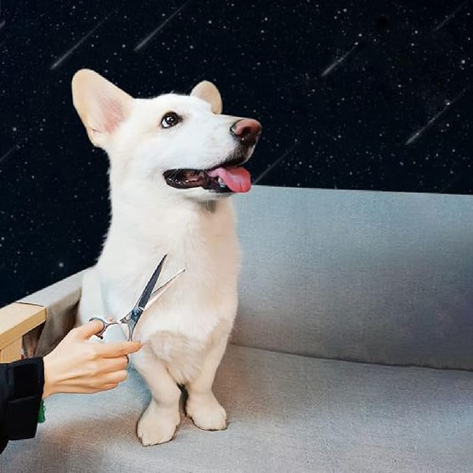 Dog Grooming Scissors,Pet Hair Scissors with Safety Round Tips Heavy Duty Titanium Stainless Steel Professional Dogs Cats Pets Grooming Shears