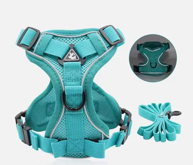 Harness for Dogs & Cats - S. M. L. XL, Nylon, Adjustable Buckle Pet Vest with Matching Leash (Blue, Medium)